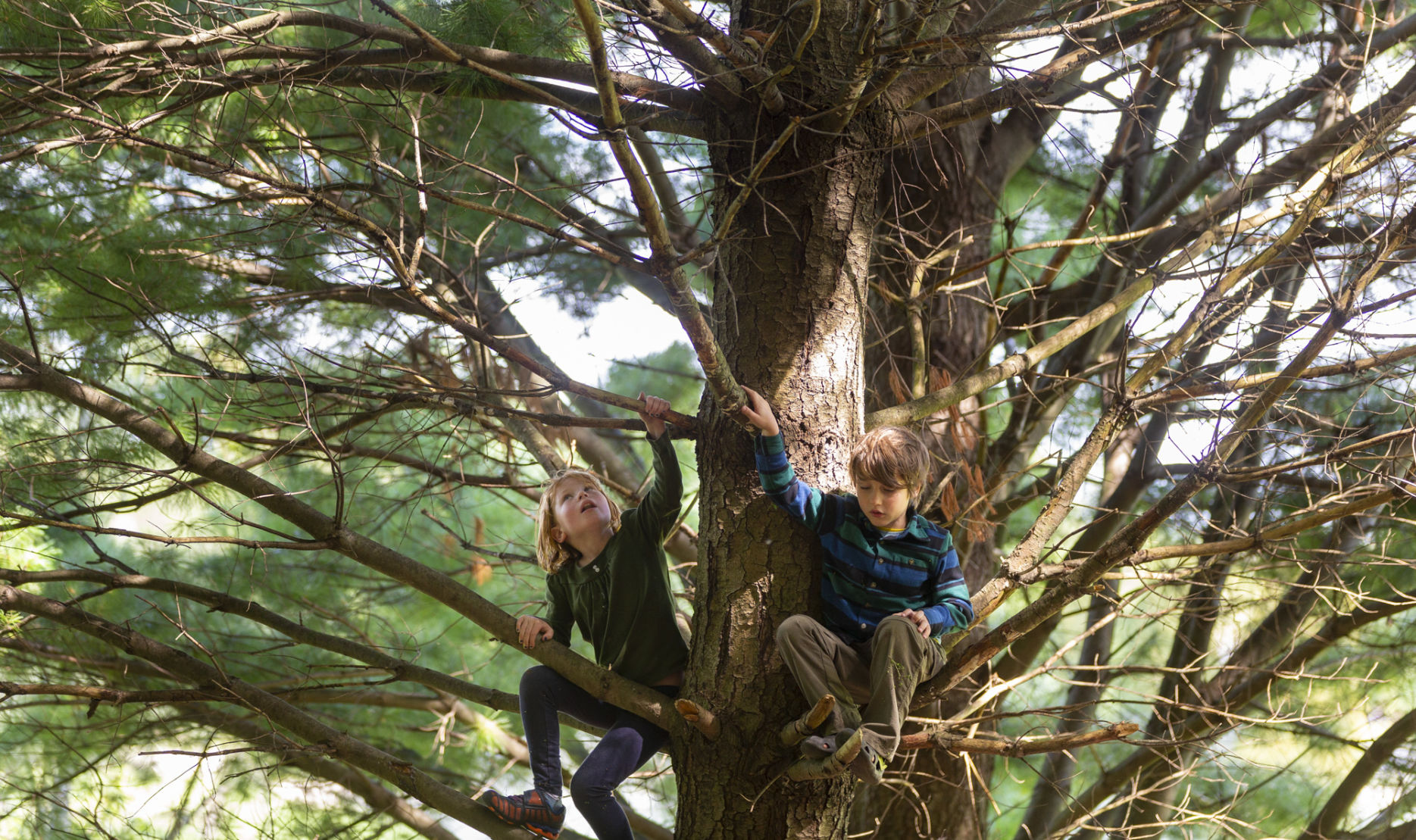 9/16/2019: Wild Harvest Nature Connection